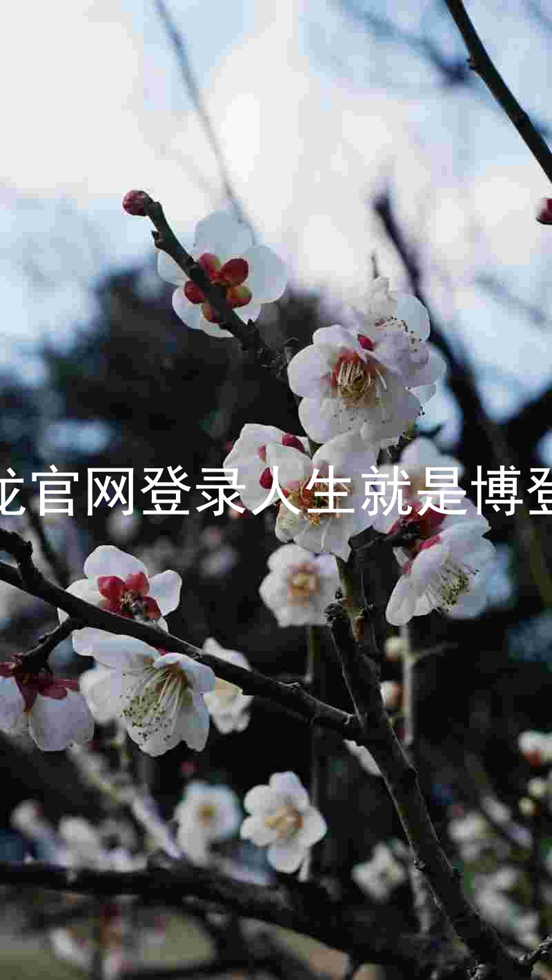 尊龙官网登录人生就是博登录
