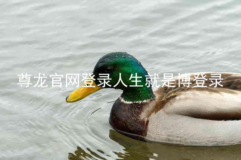 尊龙官网登录人生就是博登录